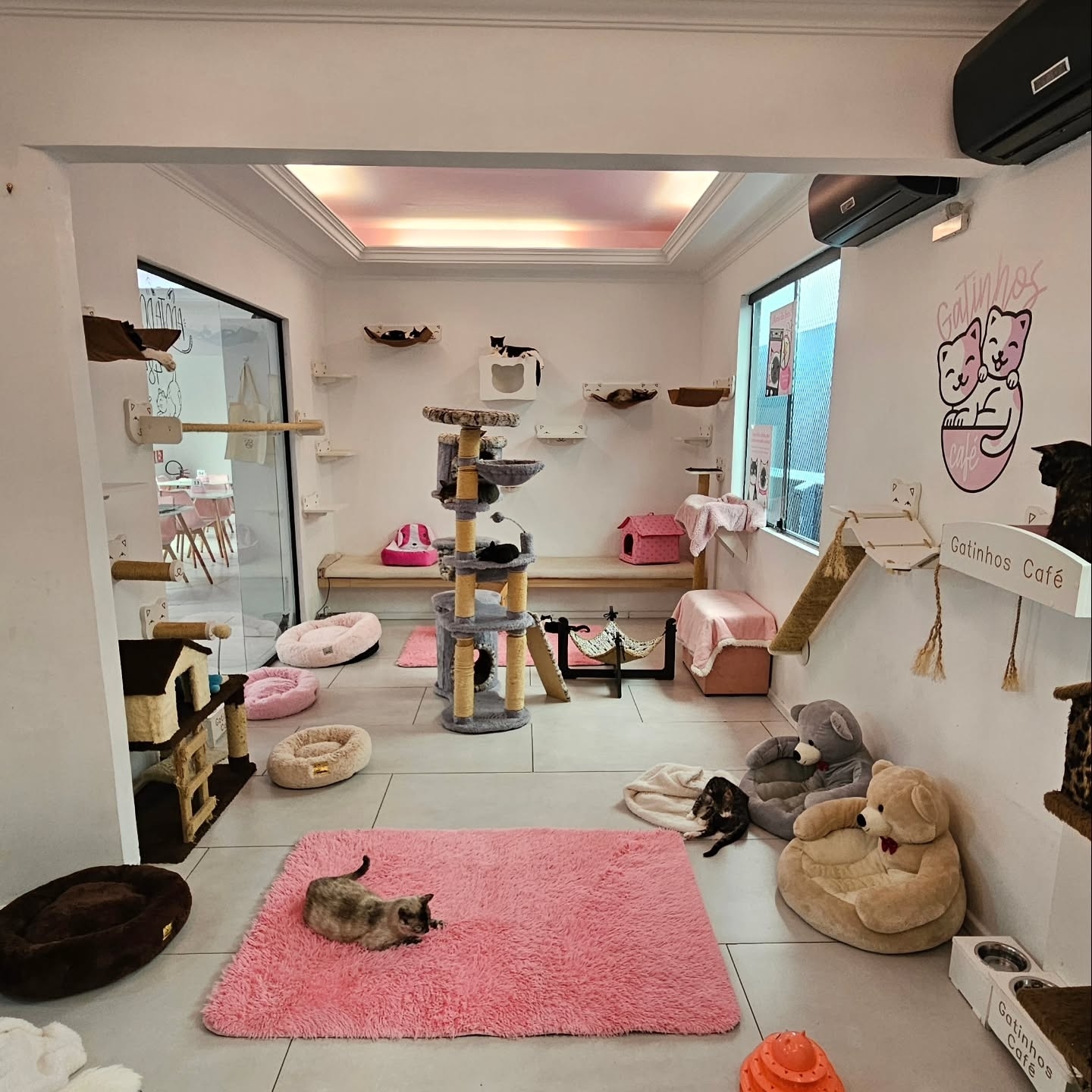 Restaurante: Gatinhos Café