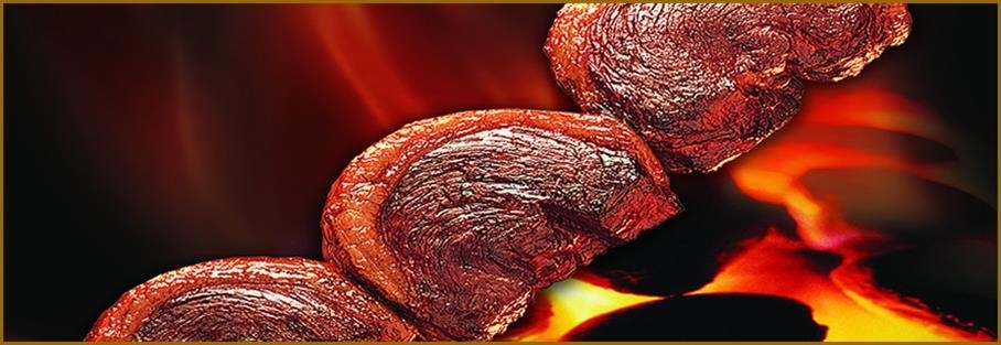 Restaurante: O Espeto de Ouro — 5